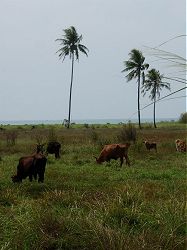 Khao Lak Thailand