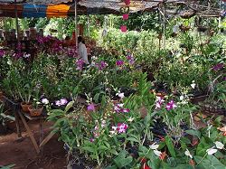 Khao Lak Thailand