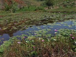 Khao Lak Thailand