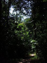 Khao Lak Thailand