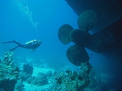 Unterwasserfotos Tauchbilder El Quseir