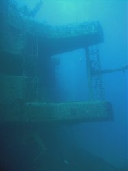 Unterwasserfotos Tauchbilder El Quseir