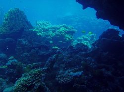 Unterwasserfotos Tauchbilder El Quseir