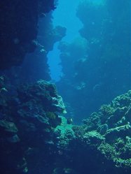 Unterwasserfotos Tauchbilder El Quseir