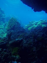 Unterwasserfotos Tauchbilder El Quseir