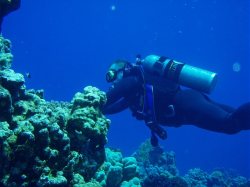 Unterwasserfotos Tauchbilder El Quseir