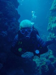 Unterwasserfotos Tauchbilder El Quseir