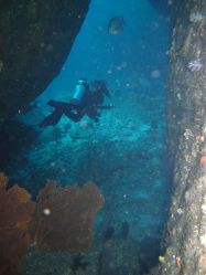 Unterwasserfotos Tauchbilder Tauchen in Khao Lak - Similans - Andamanensee - Thailand