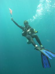 Unterwasserfotos Tauchbilder Tauchen in Khao Lak - Similans - Andamanensee - Thailand