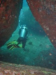 Unterwasserfotos Tauchbilder Tauchen in Khao Lak - Similans - Andamanensee - Thailand