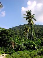 Pangkor Malaysien 2003