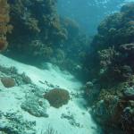 M0012032 