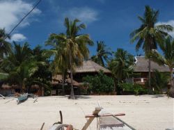 Unterwasserfotos Tauchbilder Tauchen Malapascua / Cebu / Philippinen