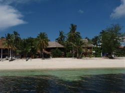 Unterwasserfotos Tauchbilder Tauchen Malapascua / Cebu / Philippinen