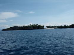Unterwasserfotos Tauchbilder Tauchen Malapascua / Cebu / Philippinen