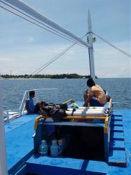Unterwasserfotos Tauchbilder Tauchen Malapascua / Cebu / Philippinen
