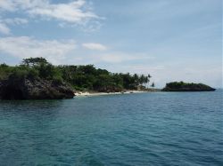 Unterwasserfotos Tauchbilder Tauchen Malapascua / Cebu / Philippinen
