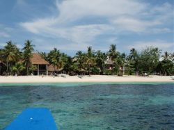 Unterwasserfotos Tauchbilder Tauchen Malapascua / Cebu / Philippinen