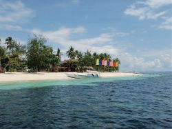 Unterwasserfotos Tauchbilder Tauchen Malapascua / Cebu / Philippinen