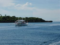 Unterwasserfotos Tauchbilder Tauchen Malapascua / Cebu / Philippinen