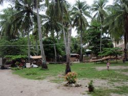 Unterwasserfotos Tauchbilder Tauchen Malapascua / Cebu / Philippinen