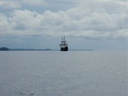 Unterwasserfotos Tauchbilder Tauchen Malapascua / Cebu / Philippinen