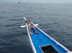 Unterwasserfotos Tauchbilder Tauchen Malapascua / Cebu / Philippinen