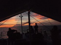Unterwasserfotos Tauchbilder Tauchen Malapascua / Cebu / Philippinen