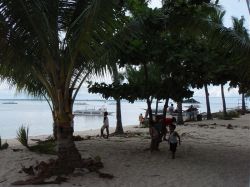 Unterwasserfotos Tauchbilder Tauchen Malapascua / Cebu / Philippinen