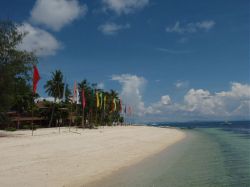 Unterwasserfotos Tauchbilder Tauchen Malapascua / Cebu / Philippinen