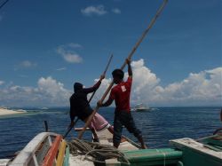 Unterwasserfotos Tauchbilder Tauchen Malapascua / Cebu / Philippinen