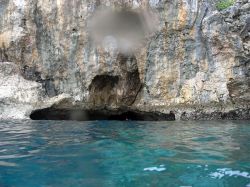 Unterwasserfotos Tauchbilder Tauchen Malapascua / Cebu / Philippinen