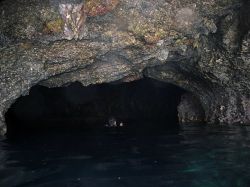 Unterwasserfotos Tauchbilder Tauchen Malapascua / Cebu / Philippinen