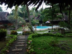 Unterwasserfotos Tauchbilder Tauchen Panglao Island / Philippinen