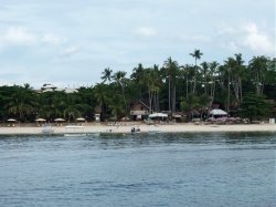 Unterwasserfotos Tauchbilder Tauchen Panglao Island / Philippinen
