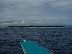 Unterwasserfotos Tauchbilder Tauchen Panglao Island / Philippinen