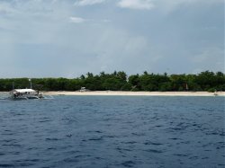 Unterwasserfotos Tauchbilder Tauchen Panglao Island / Philippinen