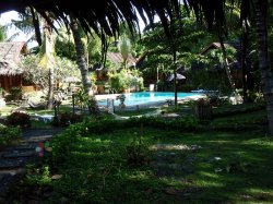 Unterwasserfotos Tauchbilder Tauchen Panglao Island / Philippinen