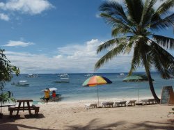 Unterwasserfotos Tauchbilder Tauchen Panglao Island / Philippinen