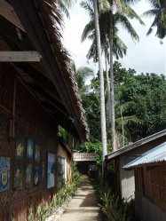 Unterwasserfotos Tauchbilder Tauchen Panglao Island / Philippinen
