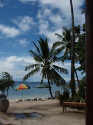 Unterwasserfotos Tauchbilder Tauchen Panglao Island / Philippinen