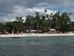 Unterwasserfotos Tauchbilder Tauchen Panglao Island / Philippinen