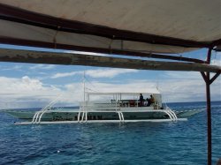 Unterwasserfotos Tauchbilder Tauchen Panglao Island / Philippinen