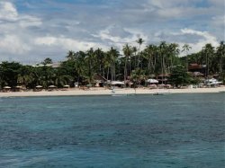 Unterwasserfotos Tauchbilder Tauchen Panglao Island / Philippinen