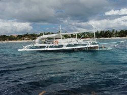 Unterwasserfotos Tauchbilder Tauchen Panglao Island / Philippinen