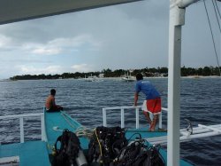 Unterwasserfotos Tauchbilder Tauchen Panglao Island / Philippinen