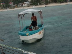 Unterwasserfotos Tauchbilder Tauchen Panglao Island / Philippinen