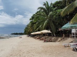 Unterwasserfotos Tauchbilder Tauchen Panglao Island / Philippinen