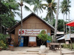 Unterwasserfotos Tauchbilder Tauchen Panglao Island / Philippinen