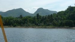 Unterwasserfotos Tauchbilder Tauchen Apo Island Moalboal / Cebu / Philippinen